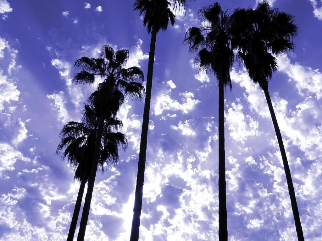 Parker Palm Springs Hotel Buitenkant foto